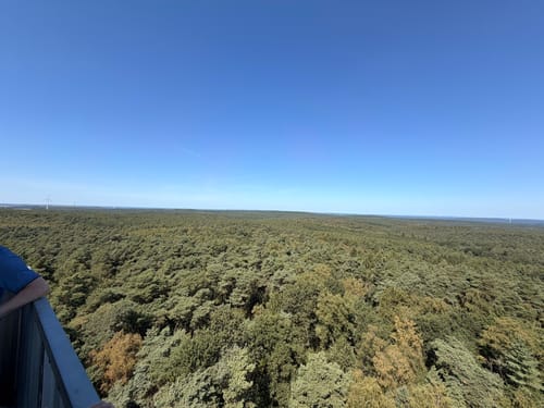 Große Haard Runde