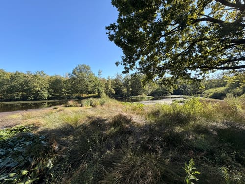 Große Haard Runde