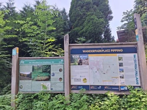 Durch das romantische Hasselbachtal (H 1)