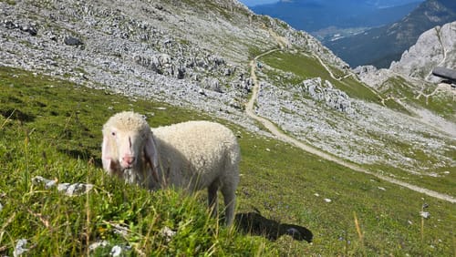 Passamani Rundwanderweg auf dem Karwendel