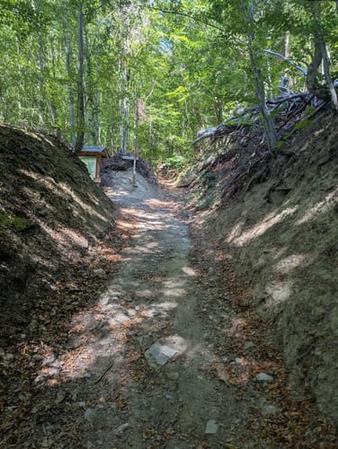 Entlang des Wüstenbachs zur Fledermaushöhle