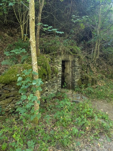 Entlang des Wüstenbachs zur Fledermaushöhle