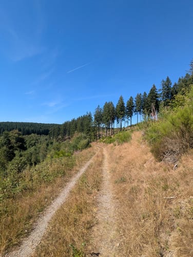 Entlang des Wüstenbachs zur Fledermaushöhle