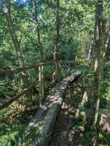 Entlang des Wüstenbachs zur Fledermaushöhle