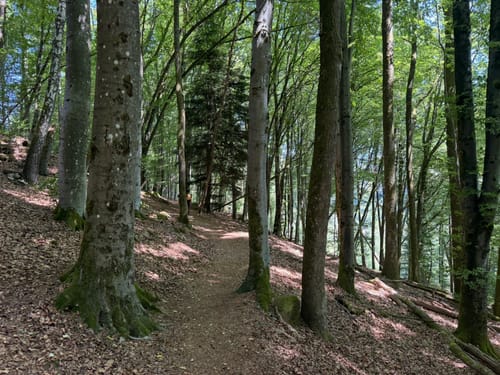 Spazierwanderweg Karlstalschlucht