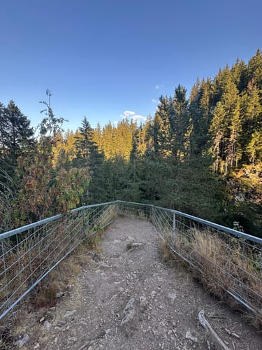 Wutenbachschlucht und Rotenbachschlucht Runde aus Holzschlag