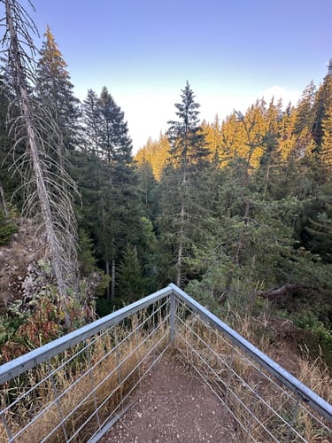Wutenbachschlucht und Rotenbachschlucht Runde aus Holzschlag
