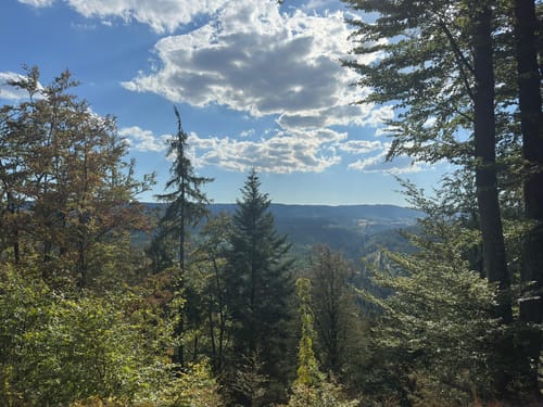Wutenbachschlucht und Rotenbachschlucht Runde aus Holzschlag