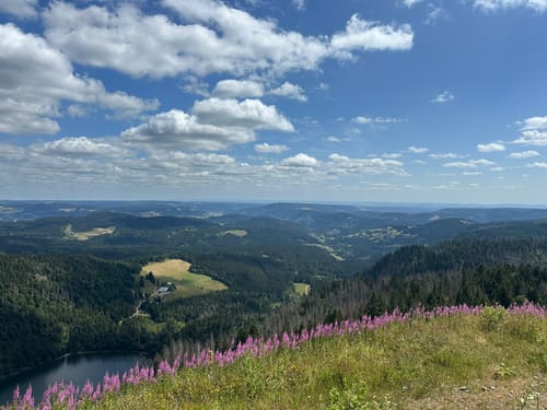 Feldbergsteig (Genießerpfad)