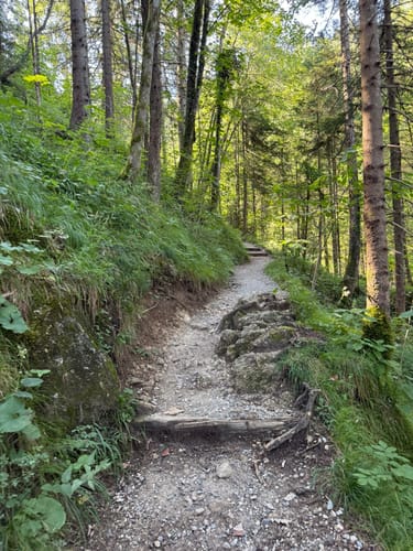 Kleiner Illing ab Ohlstadt