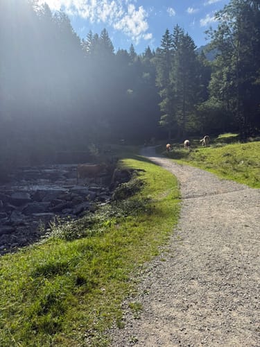 Kleiner Illing ab Ohlstadt