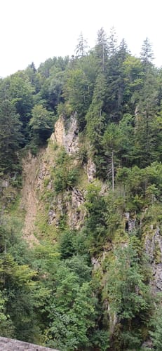 Hochfelln Seilbahn Mittelstation - Bergen