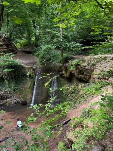 Trier Busental - Sirzenicher Wasserfall - Markusberg