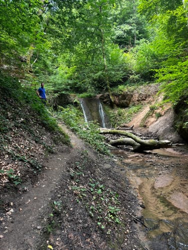 Trier Busental - Sirzenicher Wasserfall - Markusberg