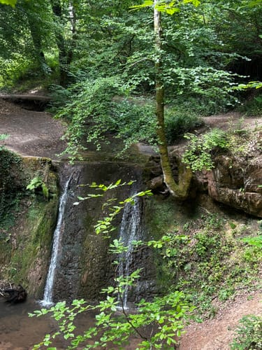 Trier Busental - Sirzenicher Wasserfall - Markusberg