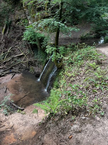 Trier Busental - Sirzenicher Wasserfall - Markusberg