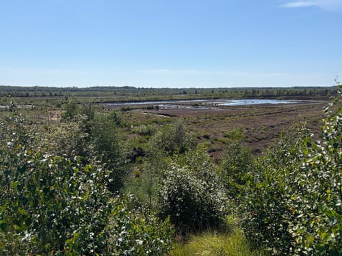 Himmelmoor: Nulldamm und Kleiner Knust