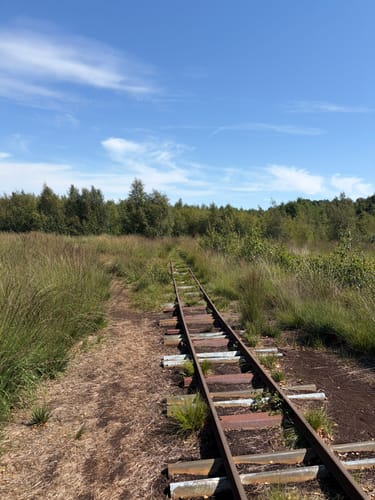 Himmelmoor: Nulldamm und Kleiner Knust