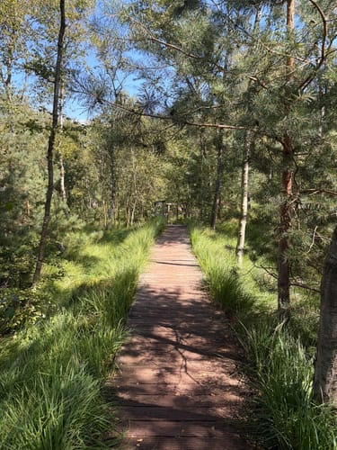 Himmelmoor: Nulldamm und Kleiner Knust