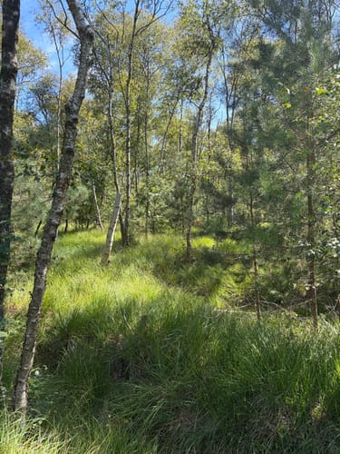 Himmelmoor: Nulldamm und Kleiner Knust