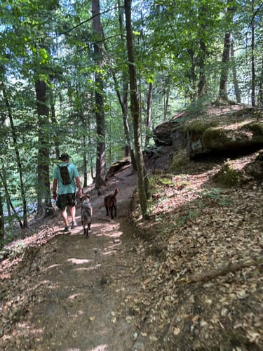 Dahner Felsenpfad (Premiumwanderweg)