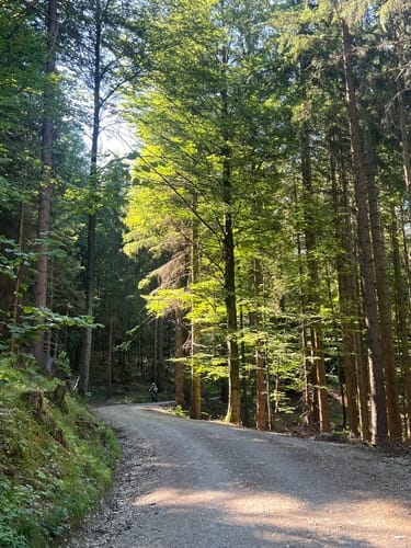 Josefsthaler Wasserfallweg