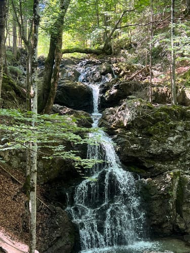 Josefsthaler Wasserfallweg
