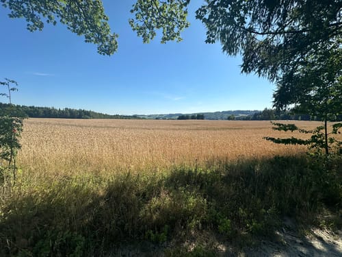 Am Kalten Feld - Greifensteine