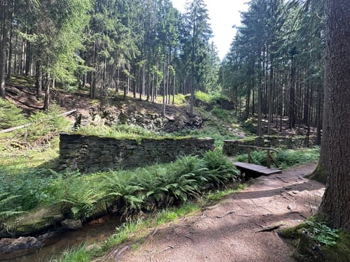 Am Kalten Feld - Greifensteine
