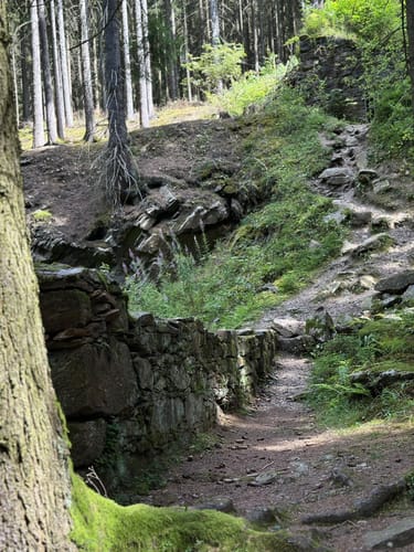 Am Kalten Feld - Greifensteine