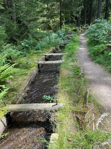Am Kalten Feld - Greifensteine