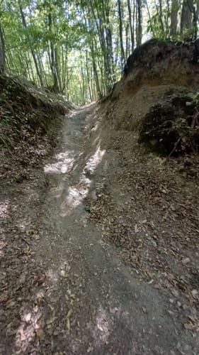 Hahnenbachtal Tour (Traumschleife)