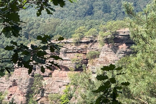 Von Hauenstein zum Wanderheim