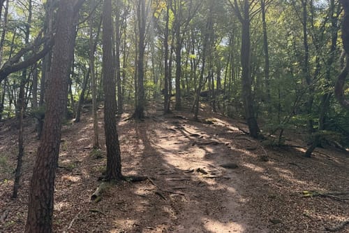 Von Hauenstein zum Wanderheim