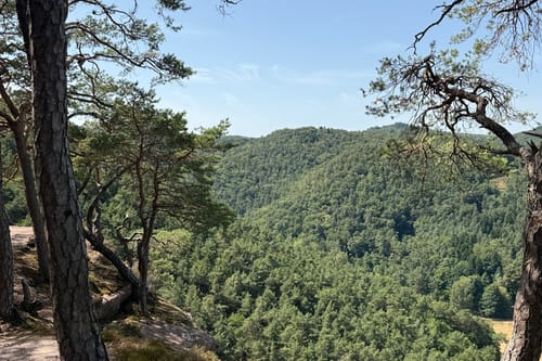 Von Hauenstein zum Wanderheim