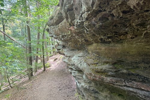Von Hauenstein zum Wanderheim