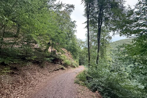 Von Hauenstein zum Wanderheim