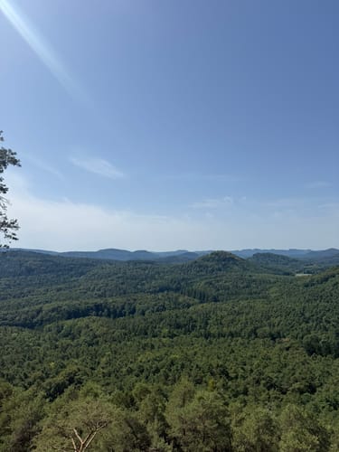 Dimbacher Buntsandstein Höhenweg (Premiumwanderweg)