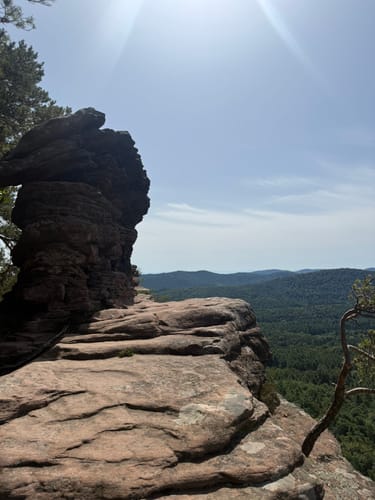 Dimbacher Buntsandstein Höhenweg (Premiumwanderweg)