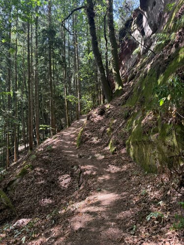 Dimbacher Buntsandstein Höhenweg (Premiumwanderweg)