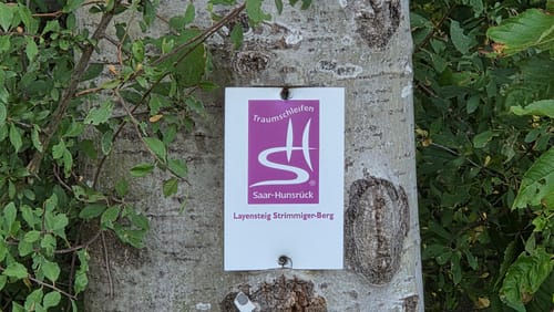 Layensteig Strimmiger Berg (Traumschleife)