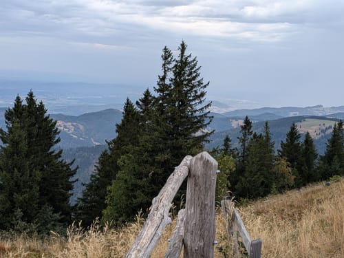 Belchensteig (Genießerpfad)