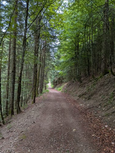 Belchensteig (Genießerpfad)
