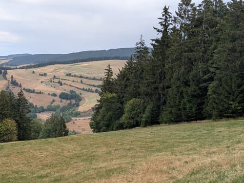 Belchensteig (Genießerpfad)