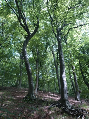 Gendarmstien (E6): Bjergetapen (Etape 1)