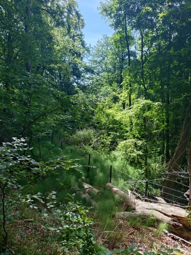 Gendarmstien (E6): Bjergetapen (Etape 1)