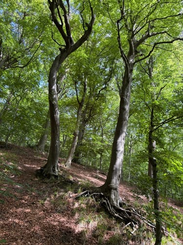 Gendarmstien (E6): Bjergetapen (Etape 1)