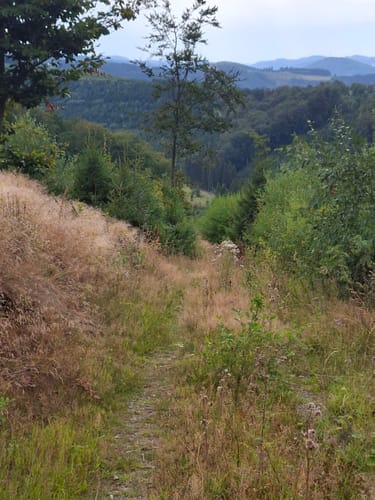 Hoher-Knochen-Weg N2