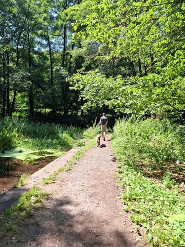 Durch das romantische Hasselbachtal (H 1)