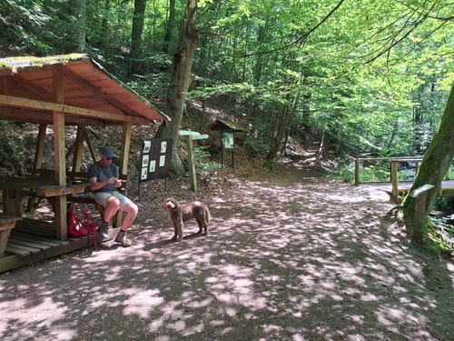 Durch das romantische Hasselbachtal (H 1)